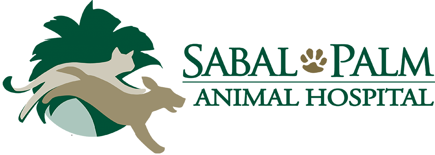 Sabal Palm Animal Hospital
